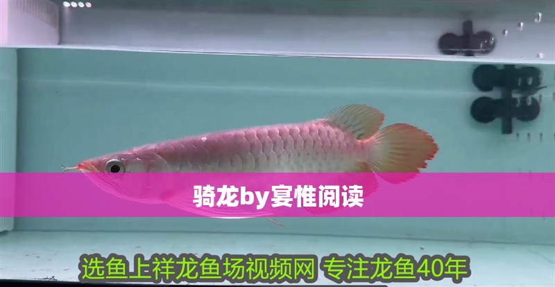 騎龍by宴惟閱讀
