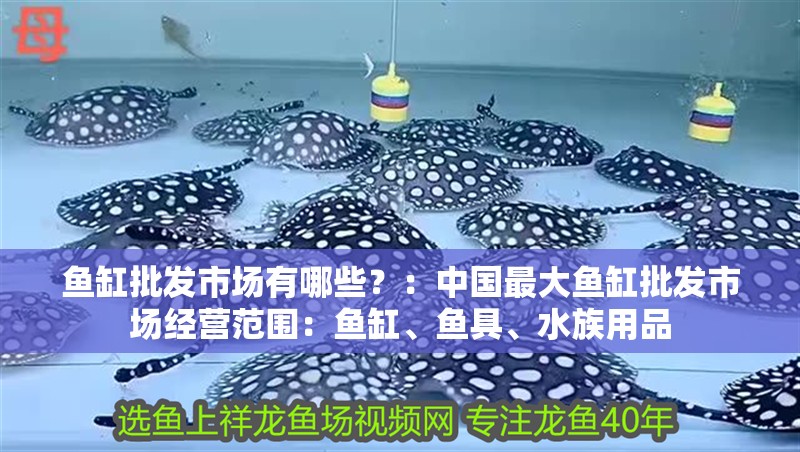 魚缸批發市場有哪些？：中國最大魚缸批發市場經營范圍：魚缸、魚具、水族用品