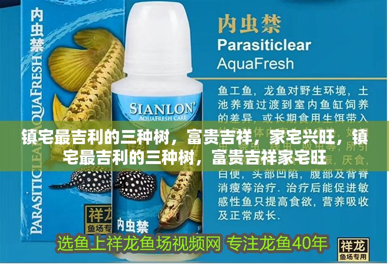 鎮宅最<strong><mark>吉利</mark></strong>的三種樹，富貴吉祥，家宅興旺，鎮宅最<strong><mark>吉利</mark></strong>的三種樹，富貴吉祥家宅旺