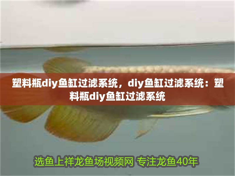 塑料瓶diy魚缸過濾系統，diy魚缸過濾系統：塑料瓶diy魚缸過濾系統