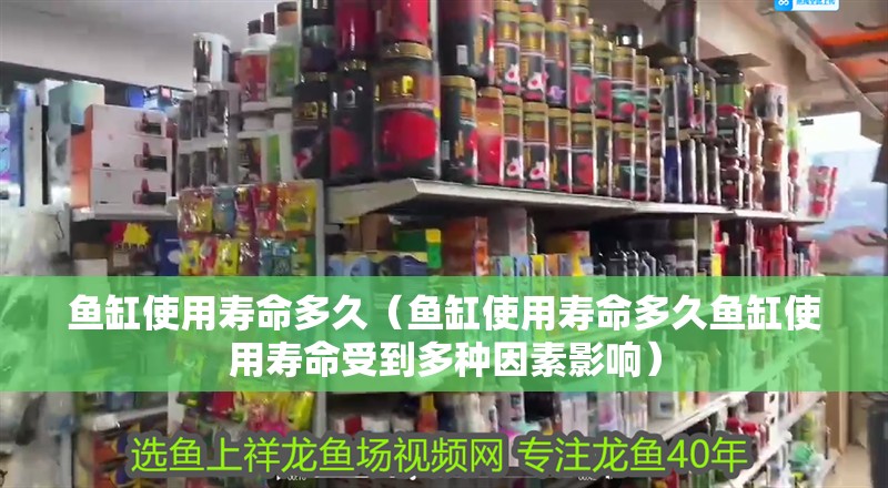 魚缸使用壽命多久（魚缸使用壽命多久魚缸使用壽命受到多種因素影響）