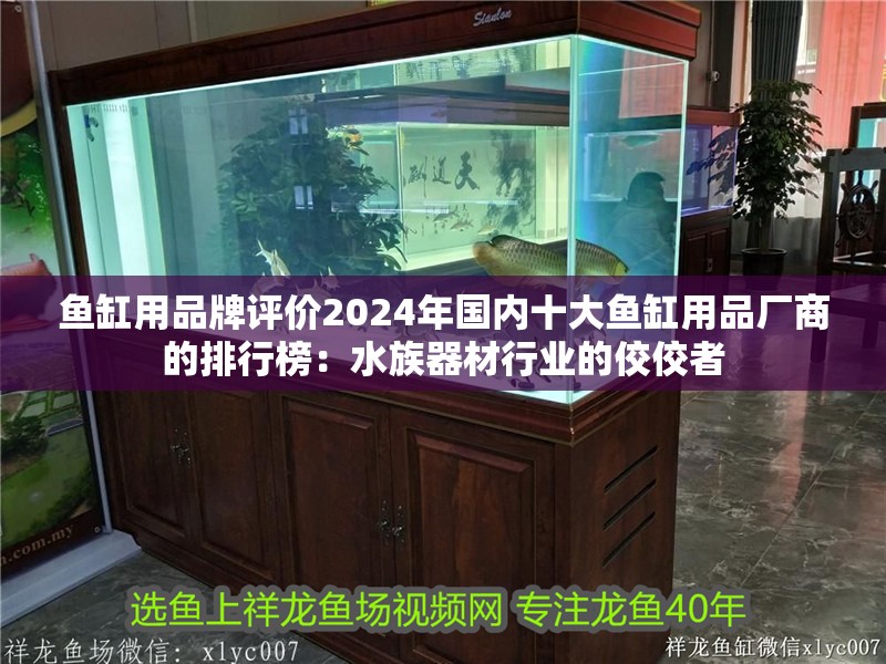 魚缸用品牌評價2024年國內十大魚缸用品廠商的排行榜：<strong><mark>水族器材</mark></strong>行業的佼佼者