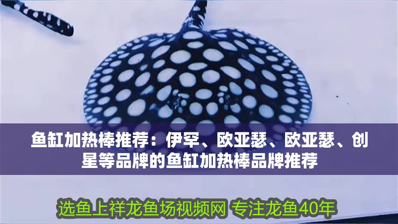 龍魚干蝦有營養嗎 魚缸加熱棒推薦:伊罕、歐亞瑟、歐亞瑟、創星等品牌的魚缸加熱棒品牌推薦 魚缸百科 魚缸加熱棒推薦:伊罕、歐亞瑟、歐亞瑟、創星等品牌的魚缸加熱棒品牌推薦 魚缸加熱棒推薦:伊罕、歐亞瑟、歐亞瑟、創星等品牌的魚缸加熱棒品牌推薦 魚缸百科