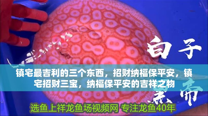 鎮(zhèn)宅最吉利的三個(gè)東西，招財(cái)納福保平安，鎮(zhèn)宅招財(cái)三寶，納福保平安的吉祥之物 鎮(zhèn)宅最吉利的三個(gè)東西，招財(cái)納福保平安，鎮(zhèn)宅招財(cái)三寶，納福保平安的吉祥之物 龍魚百科 第1張