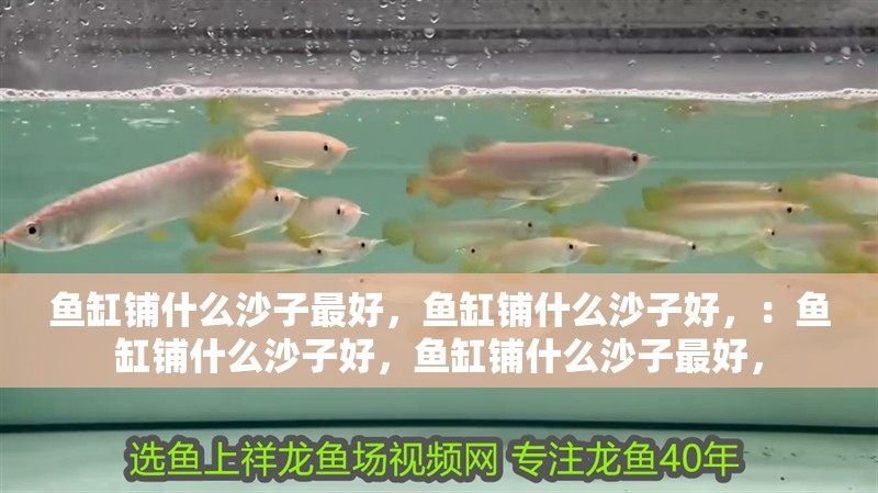 魚缸過濾器選購指南:自制魚缸過濾器魚缸上置過濾器對于養(yǎng)魚愛好者的必備知識 魚缸鋪什么沙子最好,魚缸鋪什么沙子好,:魚缸鋪什么沙子好,魚缸鋪什么沙子最好, 魚缸百科 魚缸鋪什么沙子最好,魚缸鋪什么沙子好,:魚缸鋪什么沙子好,魚缸鋪什么沙子最好, 魚缸鋪什么沙子最好,魚缸鋪什么沙子好,:魚缸鋪什么沙子好,魚缸鋪什么沙子最好, 魚缸百科