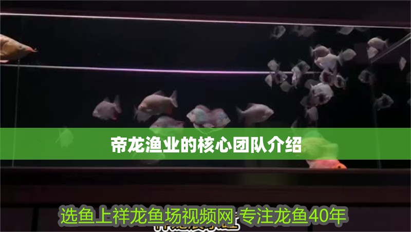 帝龍漁業(yè)的核心團(tuán)隊(duì)介紹