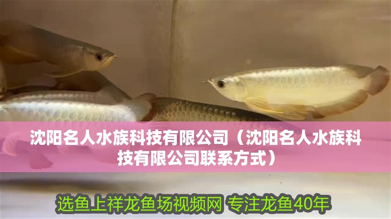 沈陽名人水族科技有限公司（沈陽名人水族科技有限公司聯系方式）