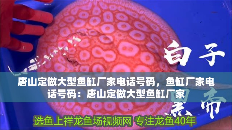 唐山定做大型魚缸廠家電話號碼，魚缸廠家電話號碼：唐山定做大型魚缸廠家