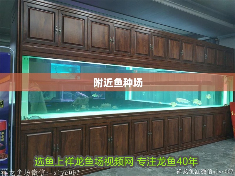 附近魚種場 附近魚種場 龍魚論壇