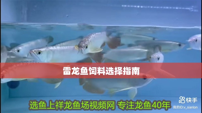 魚缸過濾器選購指南:自制魚缸過濾器魚缸上置過濾器對于養魚愛好者的必備知識 雷龍魚飼料選擇指南 龍魚百科 雷龍魚飼料選擇指南 雷龍魚飼料選擇指南 龍魚百科