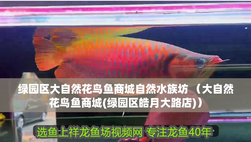 綠園區大自然花鳥魚商城自然水族坊 （大自然花鳥魚商城(綠園區皓月大路店)）