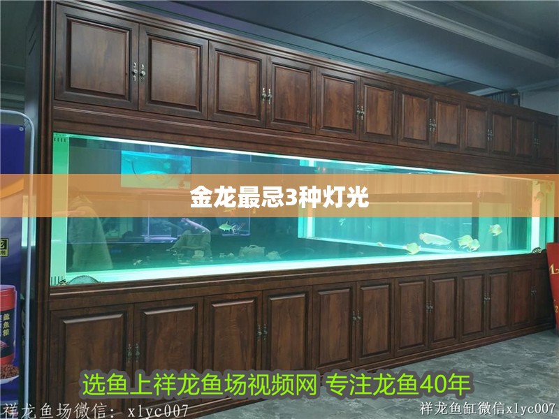 金龍最忌3種燈光
