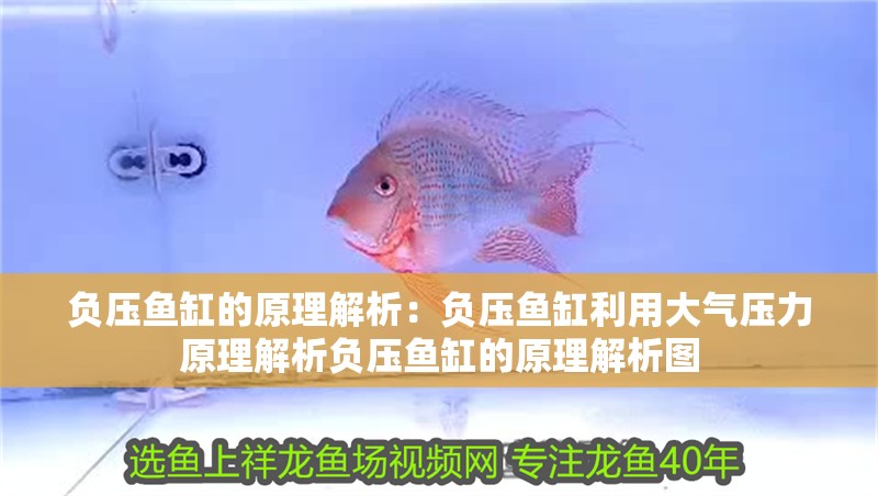 負壓魚缸的原理解析：負壓魚缸利用大氣壓力原理解析負壓魚缸的原理解析圖