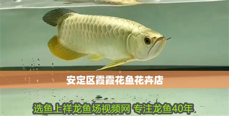 <strong><mark>安定</mark></strong>區霞霞花魚花卉店