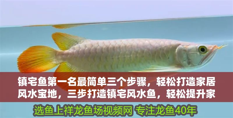 鎮(zhèn)宅魚第一名最簡(jiǎn)單三個(gè)步驟，輕松打造家居風(fēng)水寶地，三步打造鎮(zhèn)宅風(fēng)水魚，輕松提升家居好運(yùn)！
