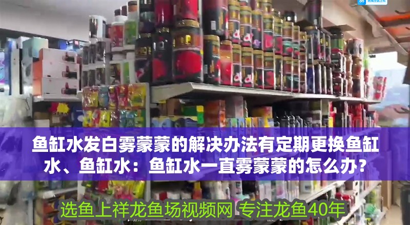魚缸水發(fā)白霧蒙蒙的解決辦法有定期更換魚缸水、魚缸水：魚缸水一直霧蒙蒙的怎么辦？