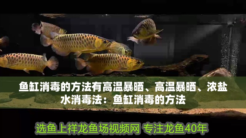 魚缸消毒的方法有高溫暴曬、高溫暴曬、濃鹽水消毒法：魚缸消毒的方法 魚缸消毒的方法有高溫暴曬、高溫暴曬、濃鹽水消毒法：魚缸消毒的方法 魚缸百科