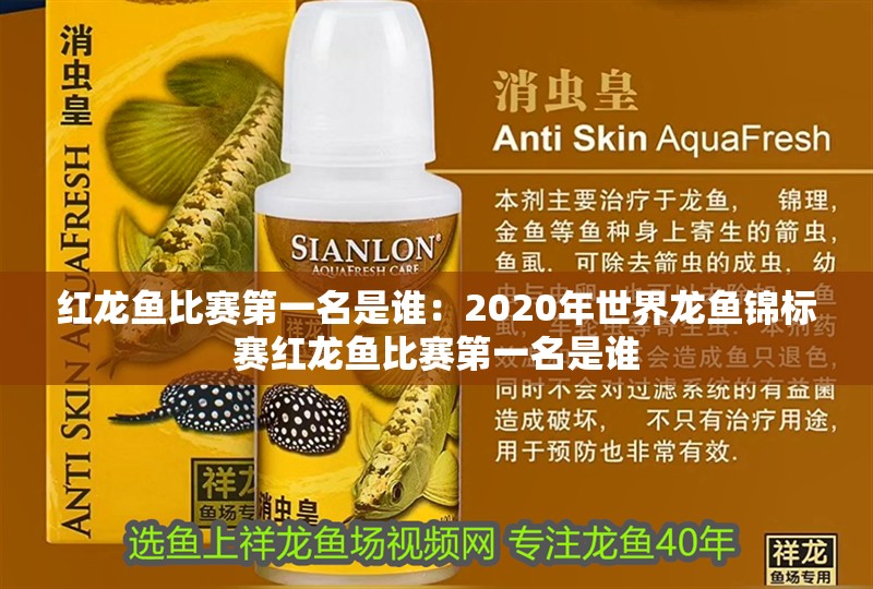 紅龍魚比賽第一名是誰：2020年世界龍魚錦標賽紅龍魚比賽第一名是誰