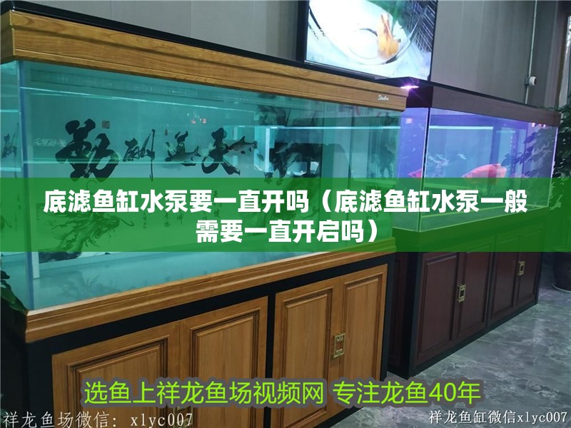 底濾魚缸水泵要一直開嗎（底濾魚缸水泵一般需要一直開啟嗎）