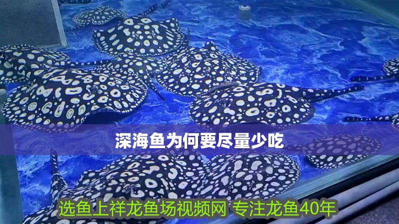 印尼虎魚多少溫度飼養(yǎng)最好:印尼虎魚多少溫度飼養(yǎng)最好印尼虎魚多少溫度飼養(yǎng)最好 深海魚為何要盡量少吃 龍魚論壇 深海魚為何要盡量少吃 深海魚為何要盡量少吃 龍魚論壇