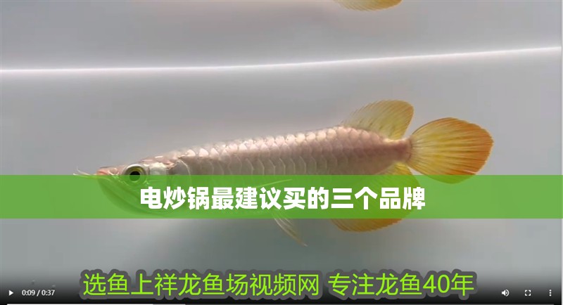 電炒鍋最建議買的三個品牌