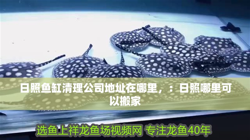 日照魚缸清理公司地址在哪里，：日照哪里可以搬家