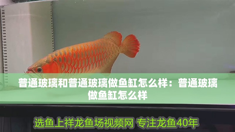 普通玻璃和普通玻璃做魚缸怎么樣：普通玻璃做魚缸怎么樣