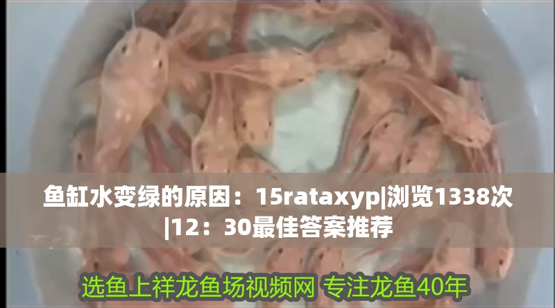 魚缸水變綠的原因：15rataxyp|瀏覽1338次|12：30最佳答案推薦