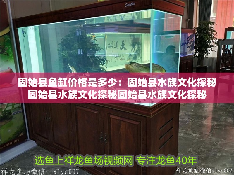 固始縣魚缸價格是多少：固始縣水族文化探秘固始縣水族文化探秘固始縣水族文化探秘