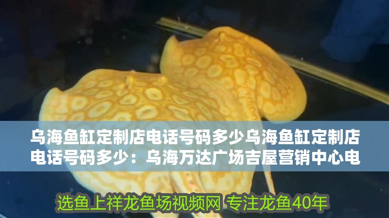 烏海魚缸定制店電話號碼多少烏海魚缸定制店電話號碼多少：烏海萬達(dá)廣場吉屋營銷中心電話號碼多少,烏海魚缸定制店電話號碼多少