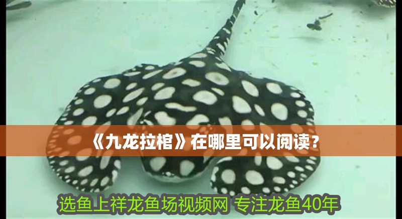 《九龍拉棺》在哪里可以閱讀？