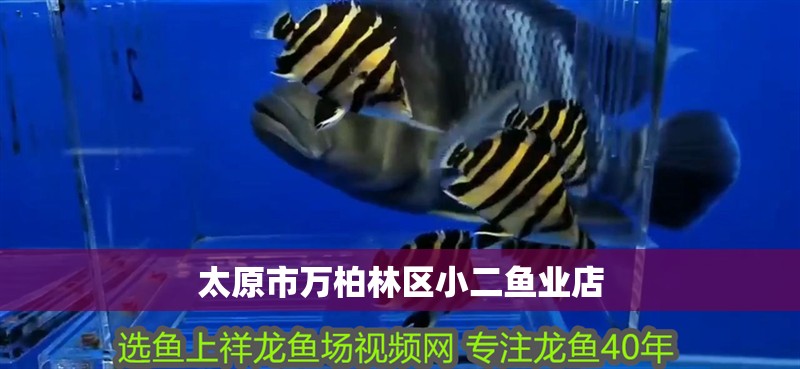 太原市萬柏林區(qū)小二魚業(yè)店