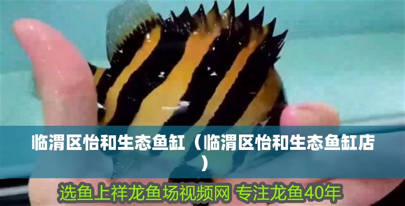 臨渭區怡和生態魚缸（臨渭區怡和生態魚缸店） 臨渭區怡和生態魚缸（臨渭區怡和生態魚缸店） 全國水族館企業名錄