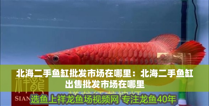 北海二手魚缸批發市場在哪里：北海二手魚缸出售批發市場在哪里 北海二手魚缸批發市場在哪里：北海二手魚缸出售批發市場在哪里 魚缸百科