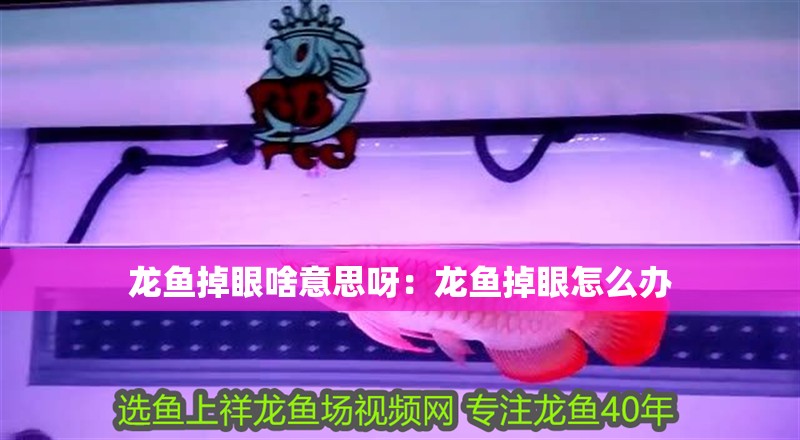 龍魚掉眼啥意思呀：龍魚掉眼怎么辦