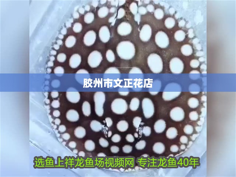 膠州市文正花店