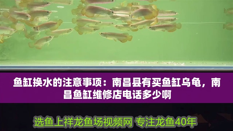 魚缸換水的注意事項：南昌縣有買魚缸烏龜，南昌魚缸維修店電話多少啊