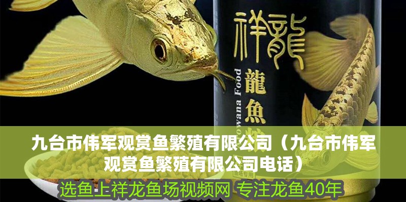 九臺市偉軍觀賞魚繁殖有限公司（九臺市偉軍觀賞魚繁殖有限公司電話） 九臺市偉軍觀賞魚繁殖有限公司（九臺市偉軍觀賞魚繁殖有限公司電話） 全國水族館企業名錄