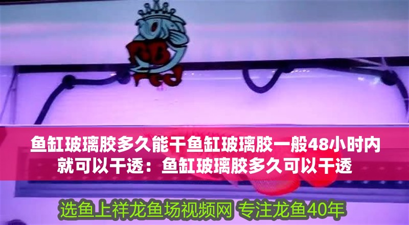 魚缸玻璃膠多久能干魚缸玻璃膠一般48小時內就可以干透：魚缸玻璃膠多久可以干透