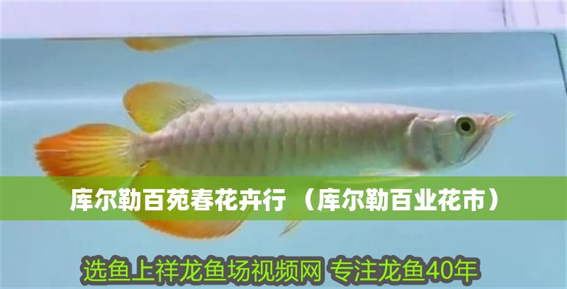 庫爾勒百苑春花卉行 （庫爾勒百業花市）