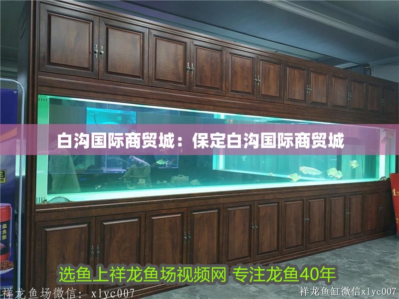 白溝國際商貿城：<strong><mark>保定</mark></strong>白溝國際商貿城