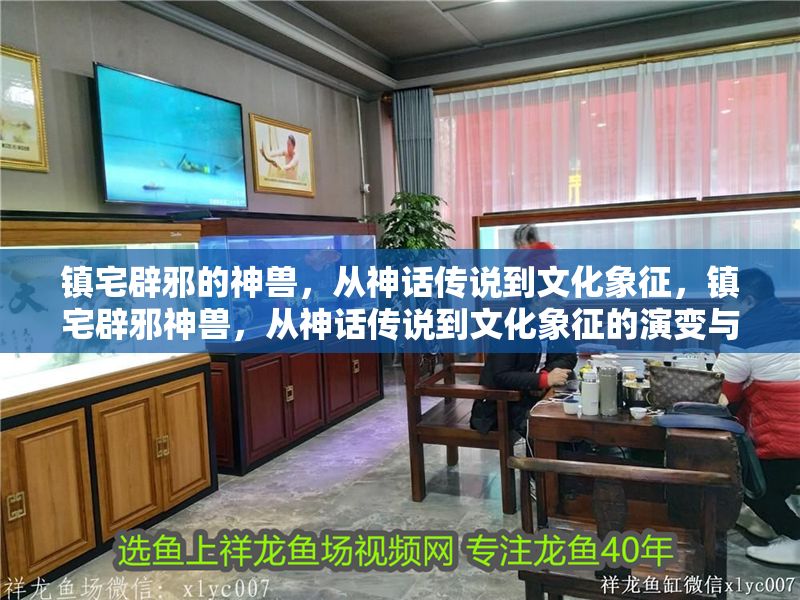 鎮宅辟邪的神獸，從神話傳說到文化象征，鎮宅辟邪神獸，從神話傳說到文化象征的演變與寓意