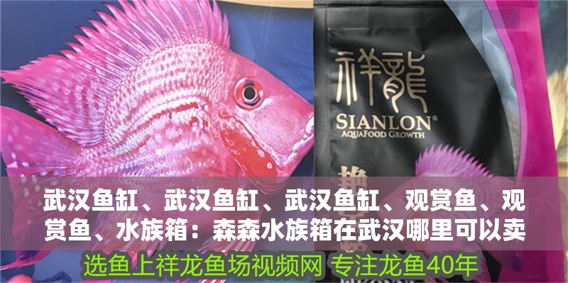 武漢魚缸、武漢魚缸、武漢魚缸、觀賞魚、觀賞魚、水族箱：森森水族箱在武漢哪里可以賣？