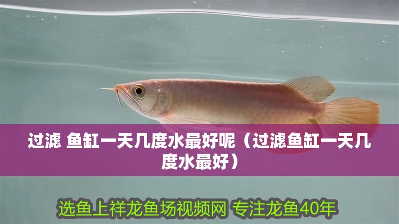 過濾 魚缸一天幾度水最好呢（過濾魚缸一天幾度水最好）