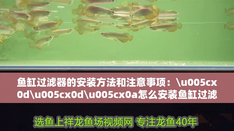 魚缸過濾器的安裝方法和注意事項：\u005cx0d\u005cx0d\u005cx0a怎么安裝魚缸過濾器