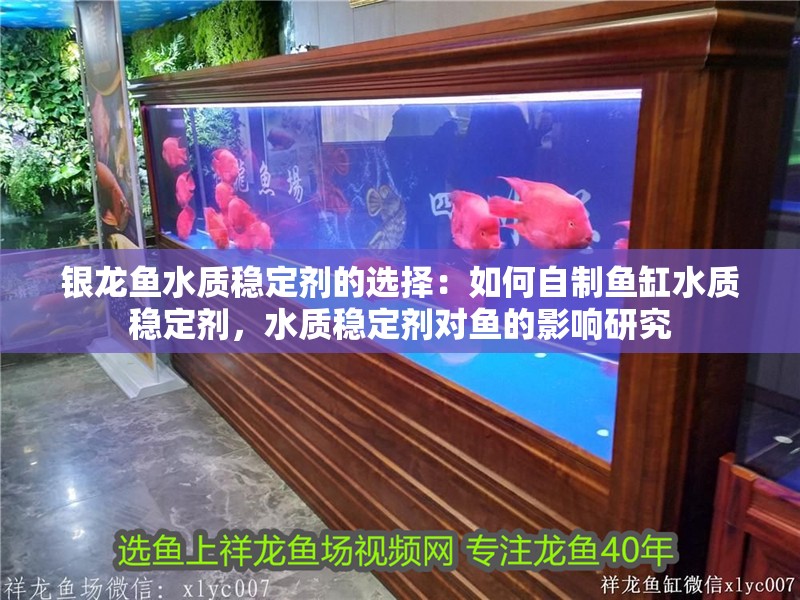 銀龍魚水質穩定劑的選擇：如何自制魚缸水質穩定劑，水質穩定劑對魚的影響研究 銀龍魚水質穩定劑的選擇：如何自制魚缸水質穩定劑，水質穩定劑對魚的影響研究 龍魚百科