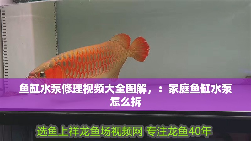 魚缸水泵修理視頻大全圖解，：家庭魚缸水泵怎么拆