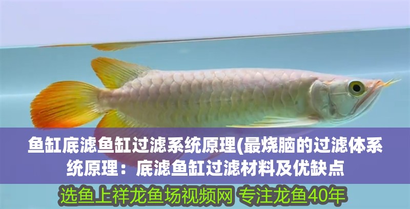 魚缸底濾魚缸過濾系統原理(最燒腦的過濾體系統原理：底濾魚缸過濾材料及優缺點 魚缸底濾魚缸過濾系統原理(最燒腦的過濾體系統原理：底濾魚缸過濾材料及優缺點 魚缸百科