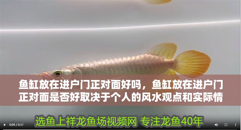 魚缸放在進戶門正對面好嗎，魚缸放在進戶門正對面是否好取決于個人的風水觀點和實際情況