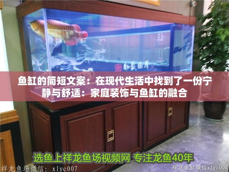 魚缸的簡短文案：在現代生活中找到了一份寧靜與舒適：家庭裝飾與魚缸的融合